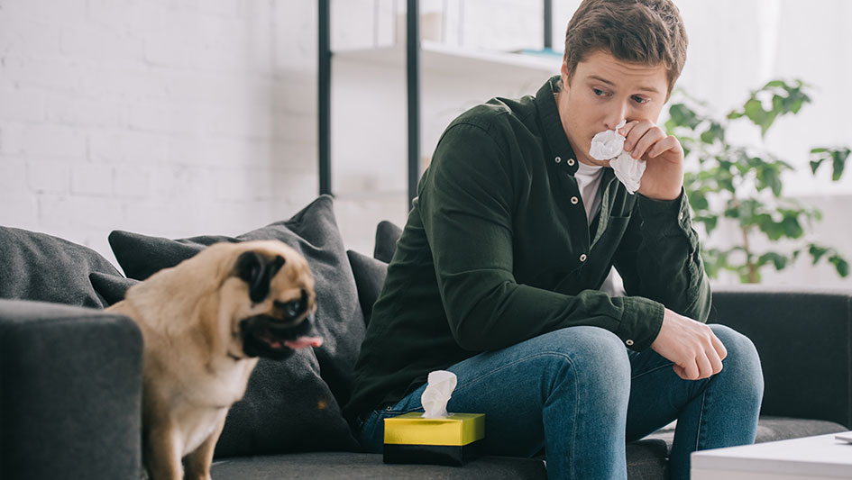 Installing an air purifier is one of the best approaches to boost your residence’s indoor air quality. Discover more about the three best products. 